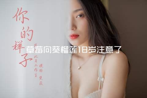 草莓向葵榴莲18岁注意了